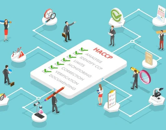 Подберем решение под ваш формат